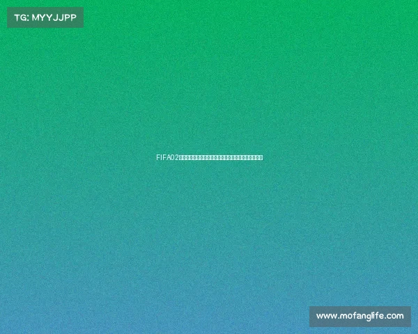 FIFA02世界杯游戏下载经典回顾畅玩体验攻略完整版合集推荐