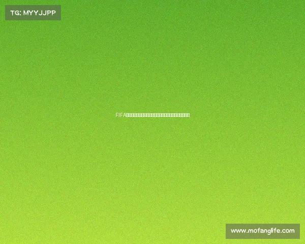 FIFA世界杯最新认证规则与参赛资格全面解析及未来赛制展望