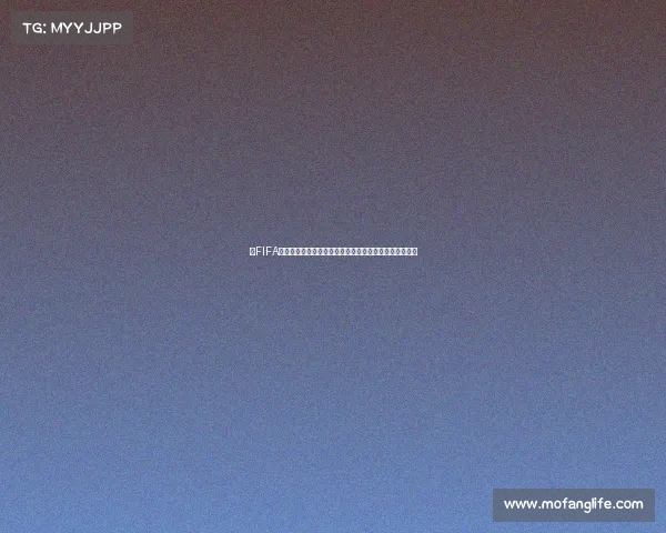 以FIFA世界杯直播运营助理为核心的赛事直播全流程支持与运营 以FIFA世界杯直播运营助理为核心的赛事直播全流程支持与运营